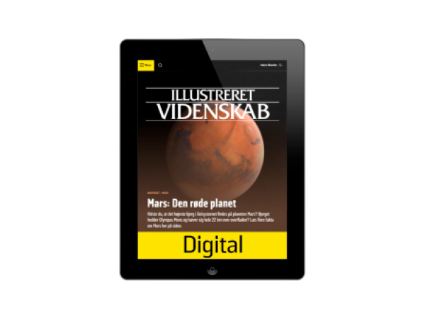 Illustreret Videnskab Digital